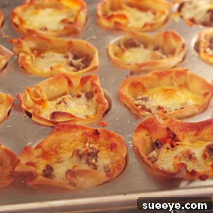 Mini Lasagna Bites 3 Savory Pizza Cupcake Recipe - Cheap Meal Ideas - Movie Night Recipes