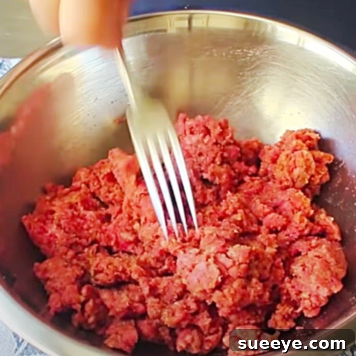 Effortless Salisbury Steak 2 Easy Salisbury Steak Recipe - Ground Beef Ideas - How To Make Hamburger Steaks And Gravy - Salisbury Steak Recipe - Easy Dinner Ideas