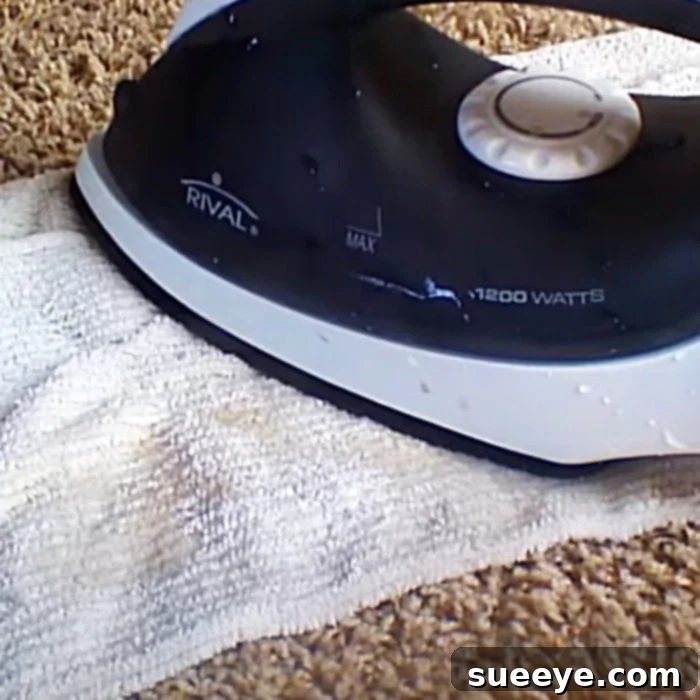 The Steam Iron Hack For Spotless Carpets 2 Hydrogen Peroxide Hacks - Steam Iron Hacks - Cleaning Hacks