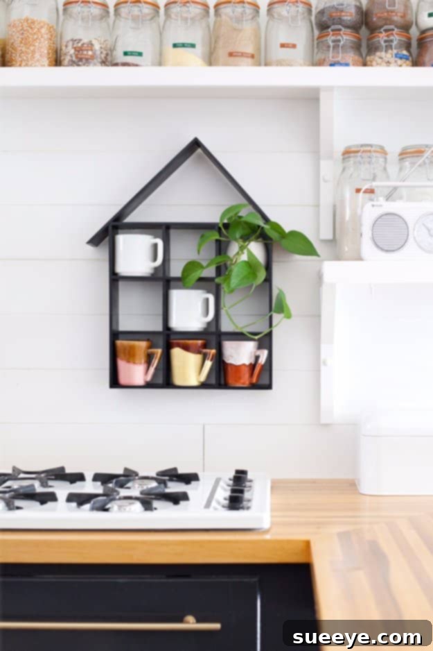 DIY House Shaped Shelf for Unique Kitchen Storage and Display Charming DIY house-shaped shelf displaying small decorative items and plants