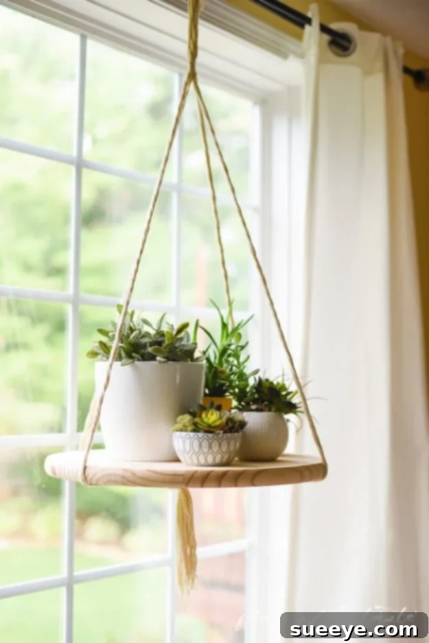 DIY Floating Shelf for Plants and Home Decor Circular wooden floating shelf with rope accents, holding small potted plants