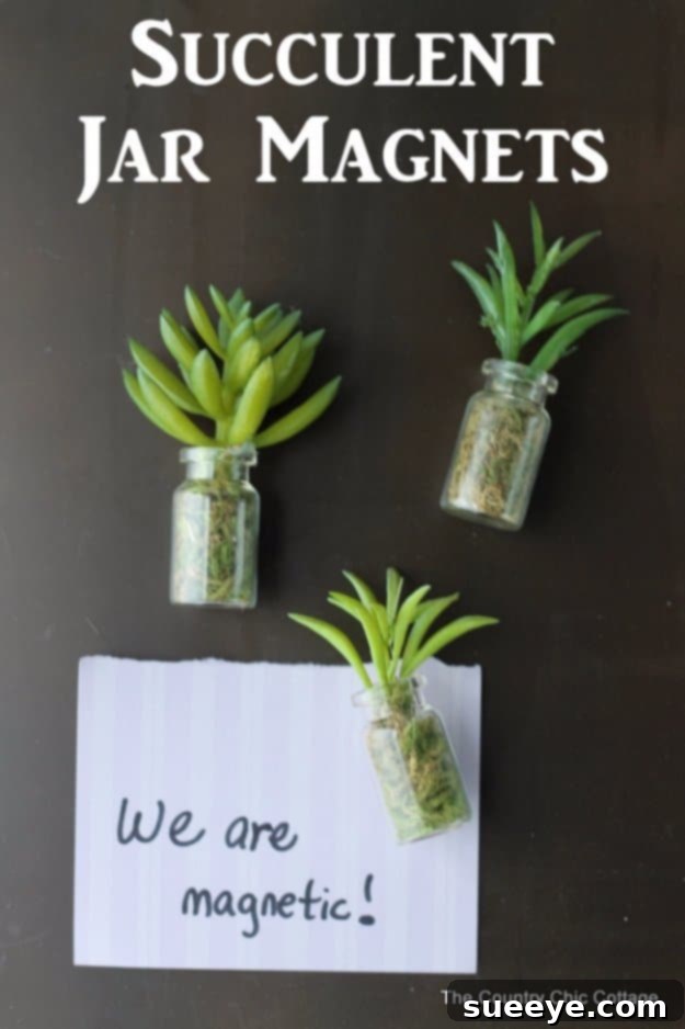 DIY Succulent Jar Magnets for Refrigerator Decor Adorable succulent jar magnets attached to a refrigerator, adding green decor
