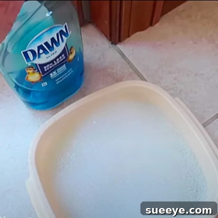 How To Clean And Lubricate A Patio Door - Easy Cleaning Hacks - How To Clean A Patio Door