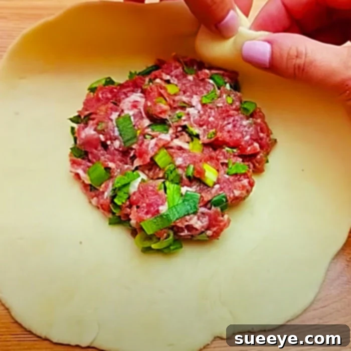 Hearty Ground Beef Hand Pies 2 Ground Beef Ideas - Easy Meal Ideas - Family Recipes - Meat Pockets Recipe