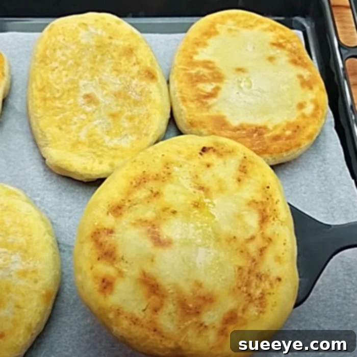 Hearty Ground Beef Hand Pies 3 Ground Beef Pockets Recipe - Meal Prep Ideas - How to Make Meat Pies