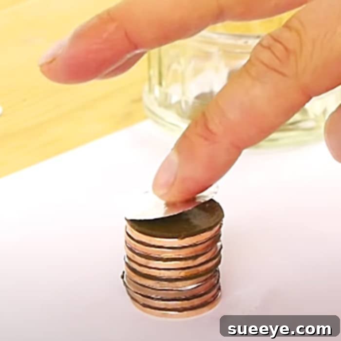 DIY Coin Battery - How To Make A Battery - Easy Copper Homemade Battery