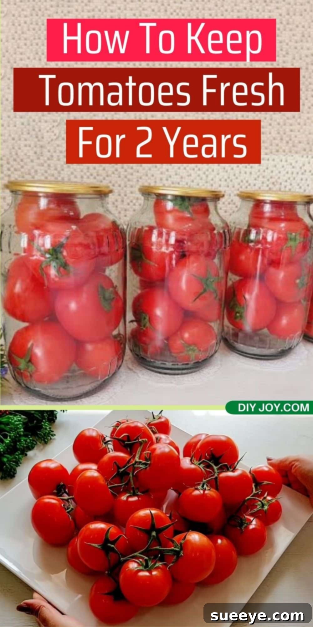 How To Keep Tomatoes Fresh For 2 Years - Kitchen Hacks DIY - Long Term Tomato Storage Guide
