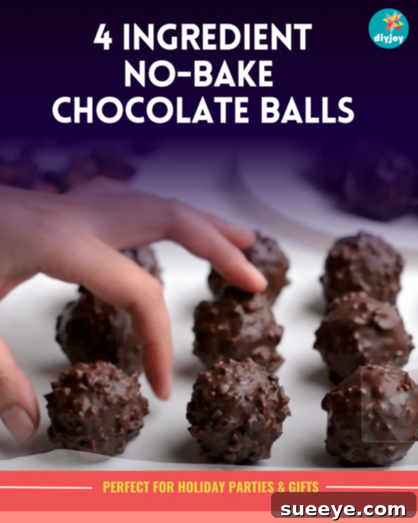 Quick 4-Ingredient No-Bake Chocolate Bites 2 Easy Candy Recipes - No Bake Chocolate Balls Recipe With Condensed Milk