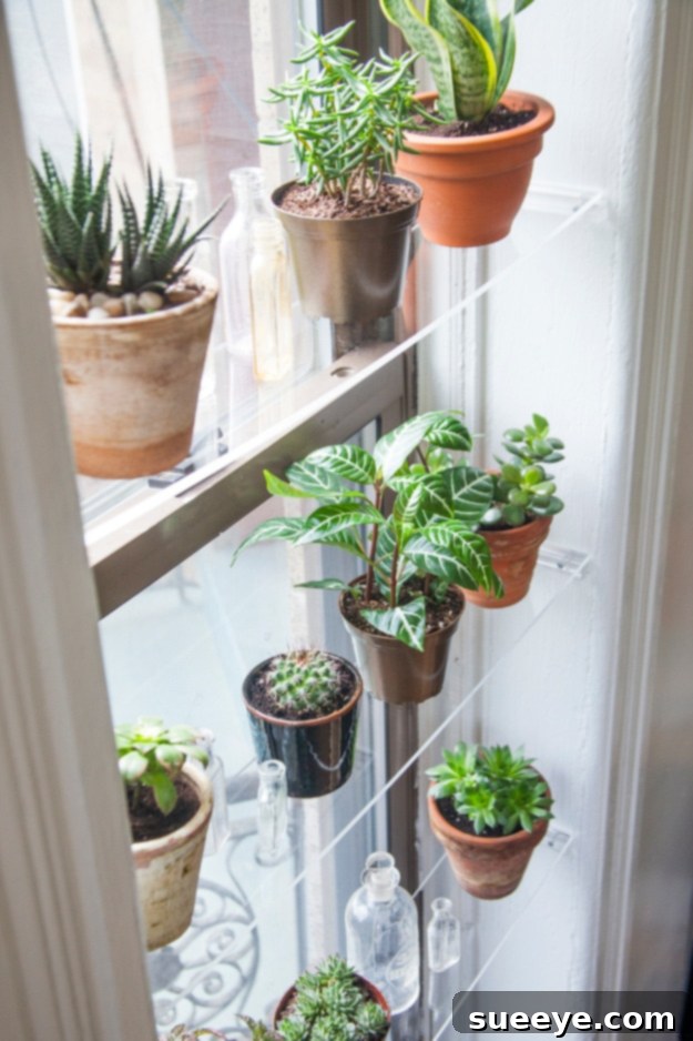 Clear DIY floating window shelves for maximizing natural light and plant display