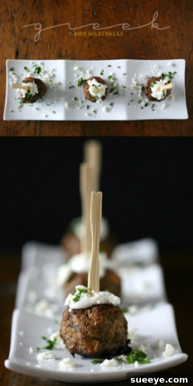Savory Greek Lamb Meatball Appetizers Flavorful Greek Lamb Meatballs with Herbs