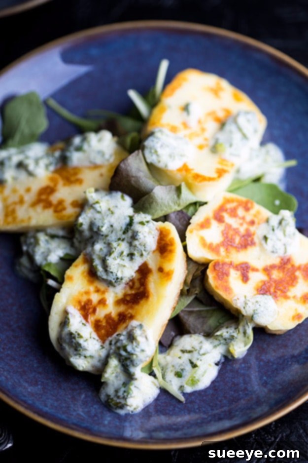 Delicious Halloumi with Mint Yogurt Appetizer Grilled Hot Halloumi Slices with Cooling Mint Yogurt