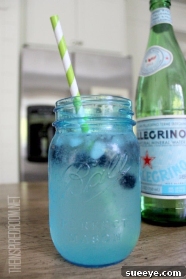 Elegant Pellegrino and Lime with Blueberry Ice: Simple Refreshment Pellegrino and Lime with Blueberry Ice cubes in a glass, garnished with lime slices.