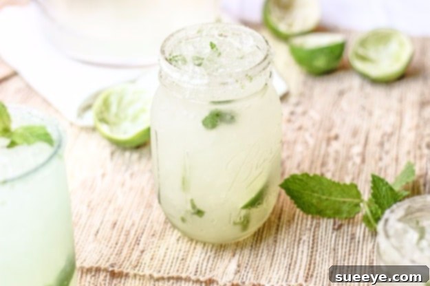 Sparkling Mint Limeade Fizz: A Refreshing Citrus Burst Mint Limeade Fizz in a glass jar, garnished with fresh mint leaves and lime slices.
