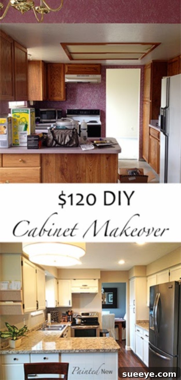 DIY Kitchen Makeover - $120 Cabinet Makeover