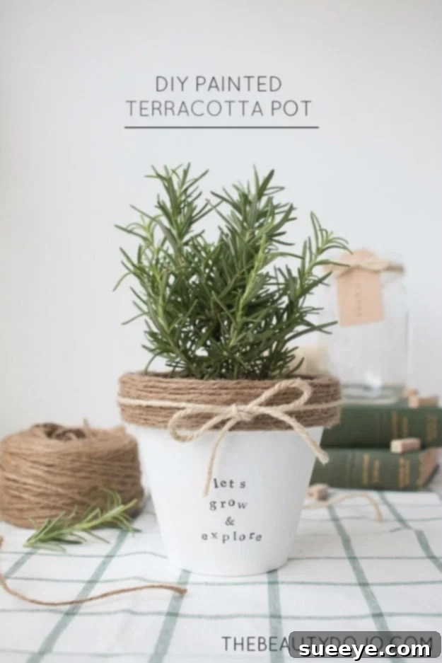 DIY painted terracotta pot with geometric design for plant display