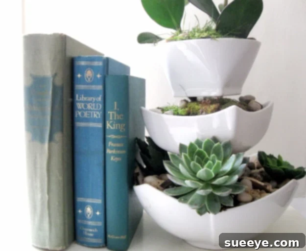 Stylish DIY planter created by stacking dollar store bowls for succulents