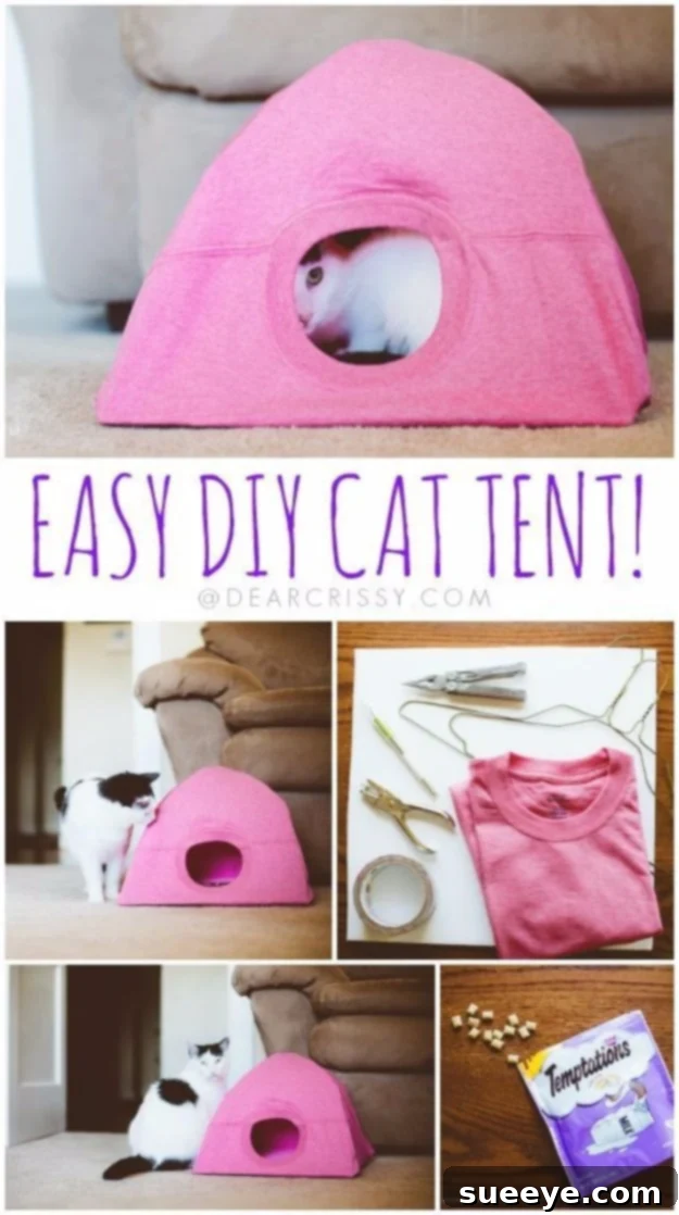 DIY cozy cat tent for pets made from simple materials