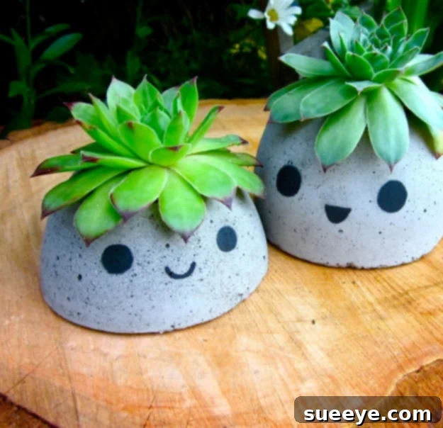 DIY modern cute concrete planter for succulents and small plants