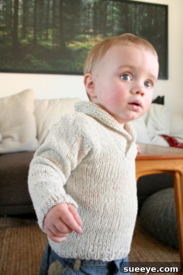Handmade Knitted Toddler Sweater - Warm and Stylish for Kids Cozy Knitted Toddler Sweater Pattern