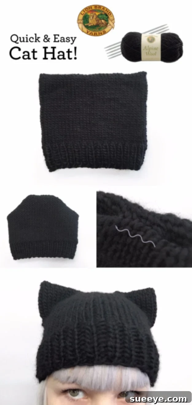 Charming Knit Cat Hat - A Fun Accessory for All Ages Adorable Quick and Easy Knit Cat Hat