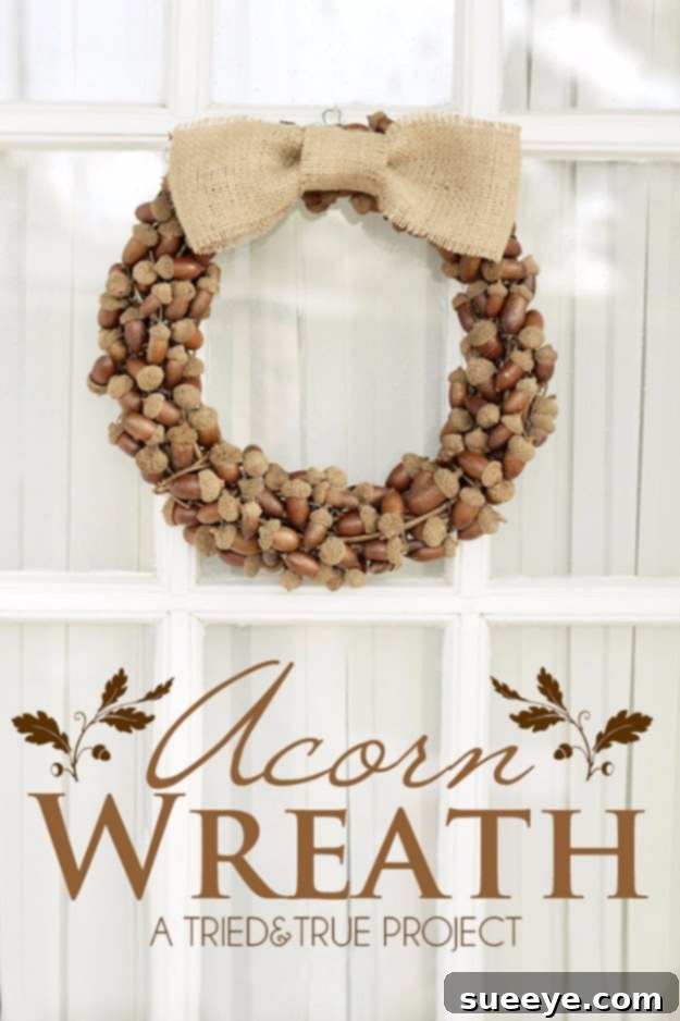 Creative Acorn Embellished Autumn Wreaths Diverse DIY Fall Wreaths Decorated with Acorns