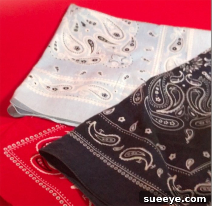 How to Make Bandana Pillows: Sew and No-Sew Options 15 Bandanas for Pillows - Color Varieties and Where to Buy