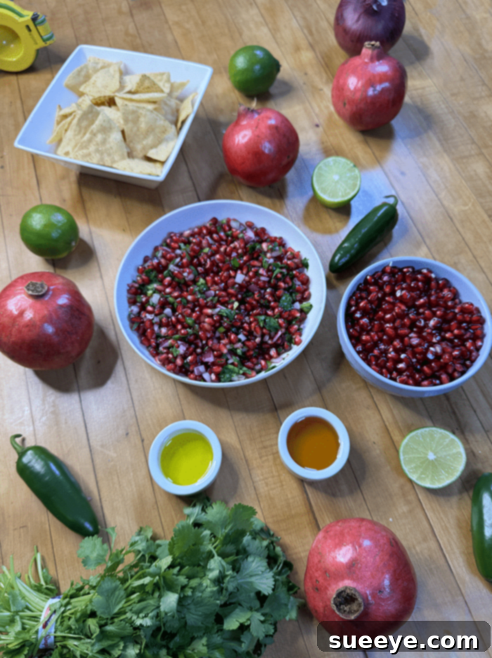 Tangy Pomegranate Salsa 4 Pomegranate Salsa Ingredients