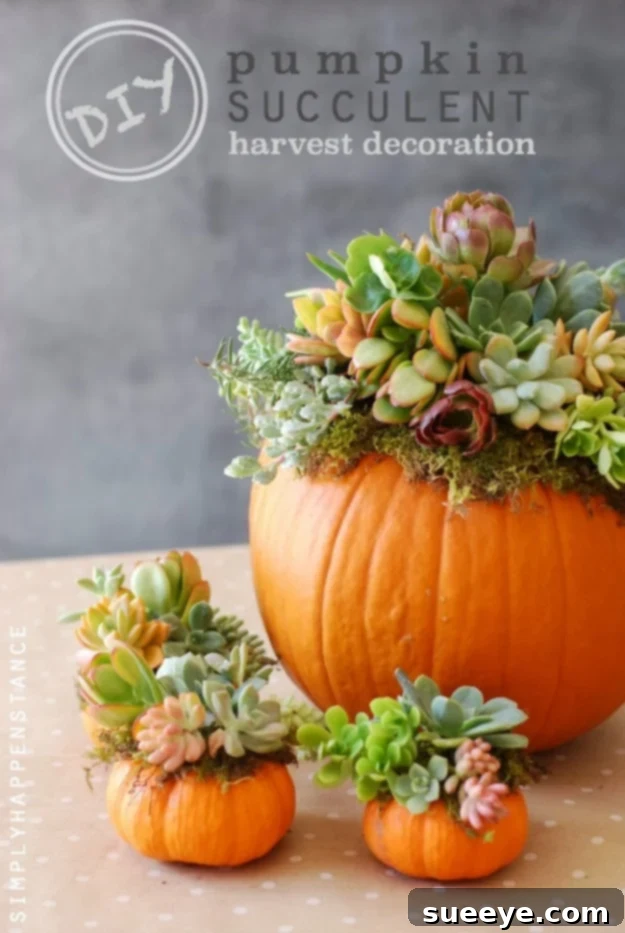 Elegant pumpkin decorated with vibrant succulents for a harvest display