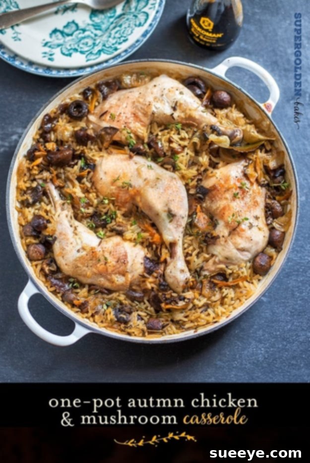 One Pot Chicken and Mushroom Casserole - Comfort Food Hearty One Pot Chicken and Mushroom Casserole with chestnuts, a comforting and aromatic autumn meal.