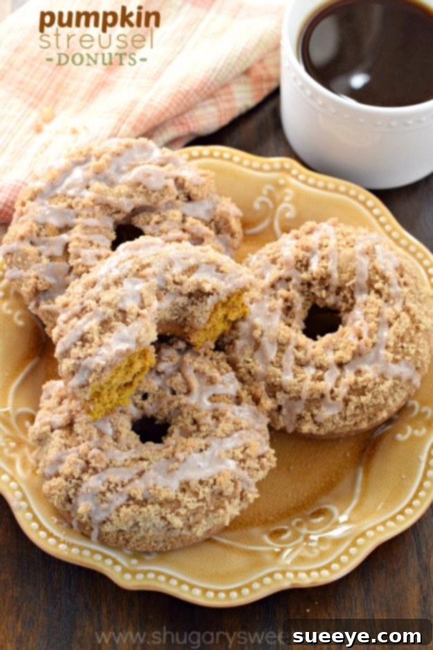 Pumpkin Streusel Donuts - Baked Goods Soft and spiced Pumpkin Streusel Donuts, a delightful homemade fall breakfast or treat.