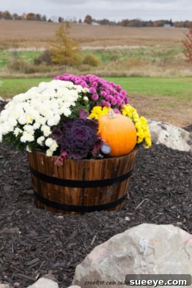 Fall Whiskey Barrel Planter A rustic whiskey barrel planter filled with colorful fall mums, gourds, and other autumn decorations.