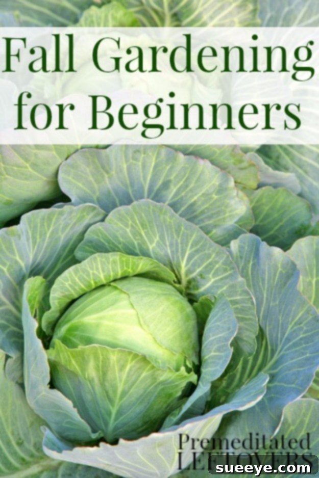 Fall Gardening for Beginners A garden plot showing freshly planted fall vegetables, ideal for beginners getting started with autumn gardening.