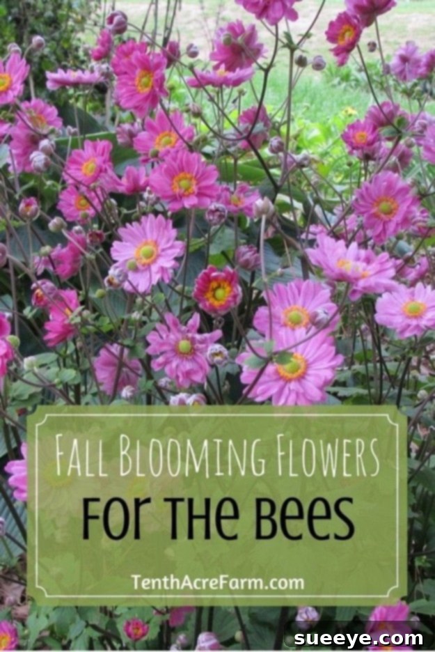Pollinator-Friendly Fall Flowers Bees actively pollinating vibrant fall blooming flowers, highlighting the importance of late-season forage.