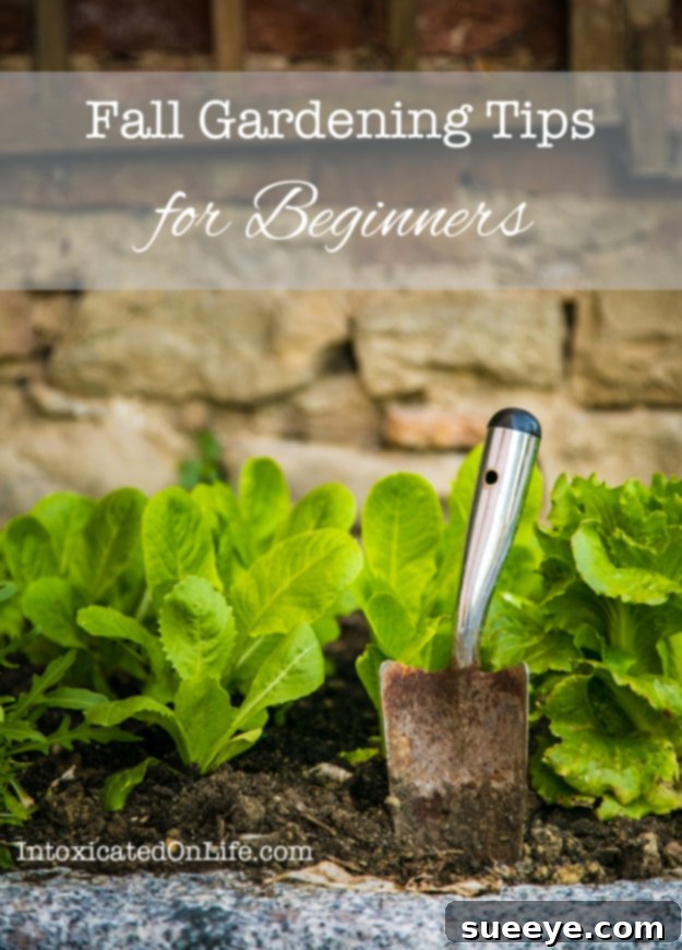 Beginner Fall Gardening Guide A collection of fall vegetables and gardening tools, representing essential tips for beginner gardeners.