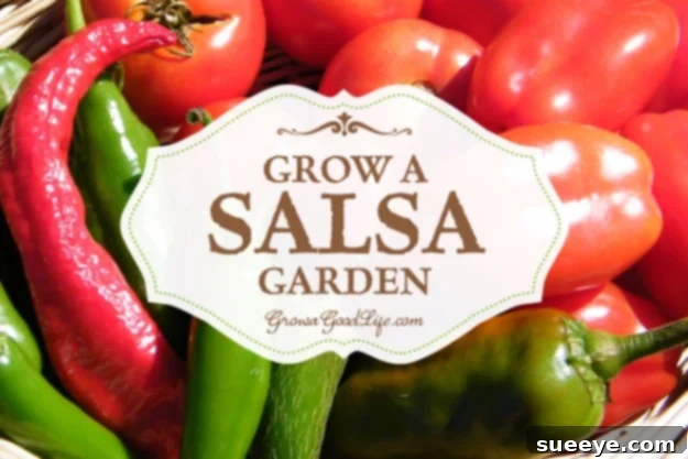 DIY Salsa Garden A vibrant salsa garden featuring ripe tomatoes, chili peppers, and cilantro ready for harvest.