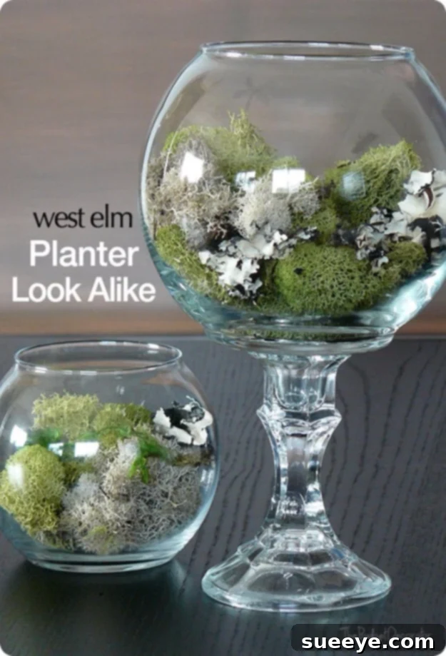 Easy Dollar Store Crafts - Dollar Store Terrariums - Quick And Cheap Crafts To Make, Dollar Store Craft Ideas To Make And Sell, Cute Dollar Store Do It Yourself Projects, Cheap Craft Ideas, Dollar store Decor, Easy Dollar Store Crafts - Dollar Store Terrariums - Quick And Cheap Crafts To Make, Dollar Store Craft Ideas To Make And Sell, Cute Dollar Store Do It Yourself Projects, Cheap Craft Ideas, Dollar store Decor,
