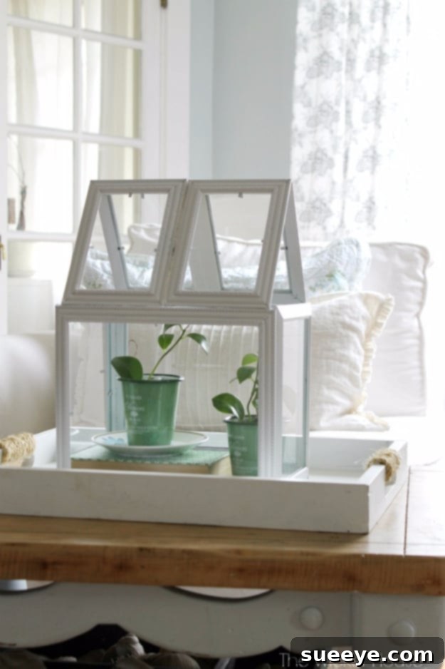 Easy Dollar Store Crafts - Picture Frame Greenhouse Terrarium - Quick And Cheap Crafts To Make, Dollar Store Craft Ideas To Make And Sell, Cute Dollar Store Do It Yourself Projects, Cheap Craft Ideas, Dollar store Decor, Easy Dollar Store Crafts - Picture Frame Greenhouse Terrarium - Quick And Cheap Crafts To Make, Dollar Store Craft Ideas To Make And Sell, Cute Dollar Store Do It Yourself Projects, Cheap Craft Ideas, Dollar store Decor,