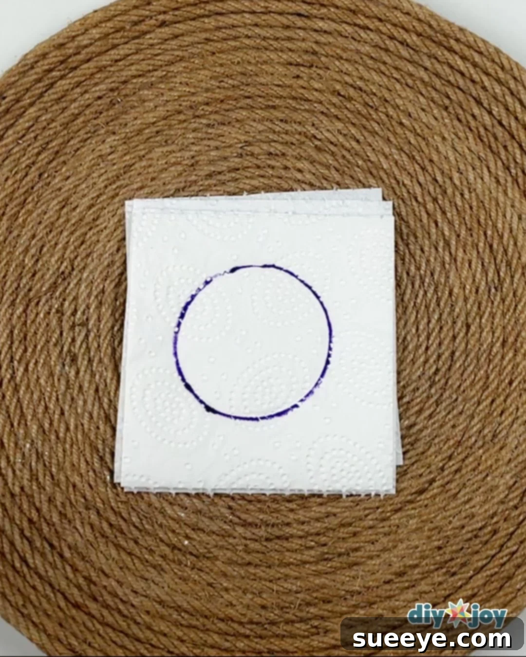 toilet paper crafts