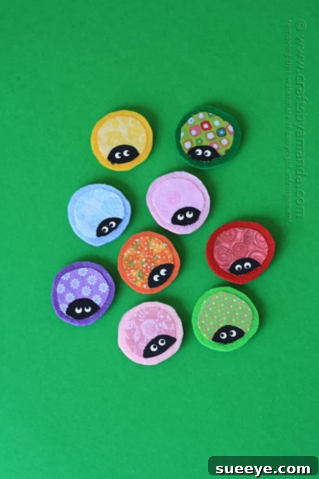 Ladybug Magnets: Sweet & Simple Fabric Craft DIY Ladybug Fabric Scrap Fridge Magnets - Recycled Craft for Kids - Home Decor Project