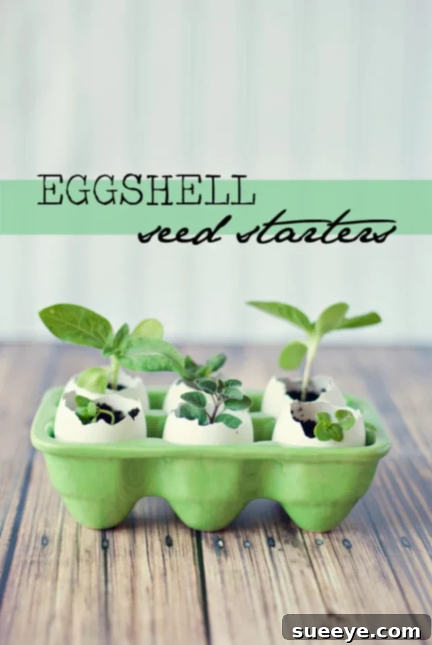 Eggshell Seed Starters: Sustainable Gardening for Kids DIY Eggshell Seed Starters for Kids - Gardening Craft Project - Eco-Friendly Planting