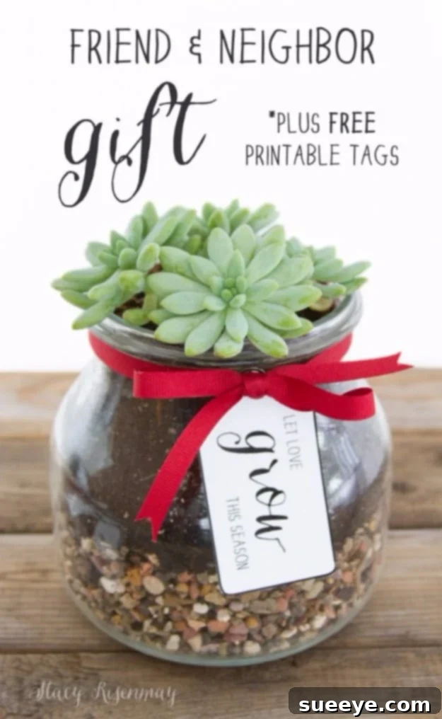 Succulent in a Mason Jar Gift Charming Friend and Neighbor Succulent in a Mason Jar, an easy and thoughtful plant gift idea for holidays or appreciation.