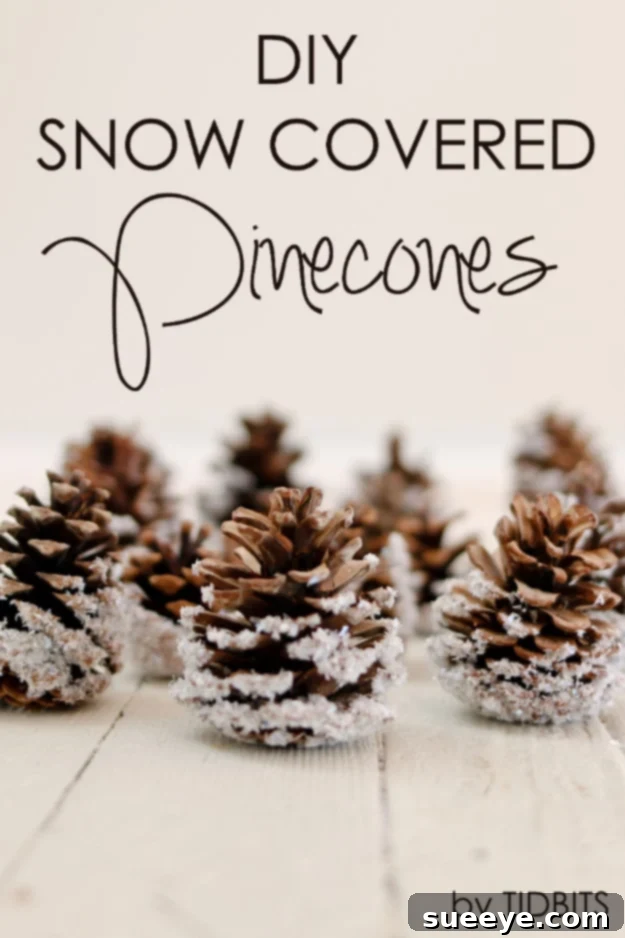 Rustic snow-covered pinecone ornament with a natural, flocked look