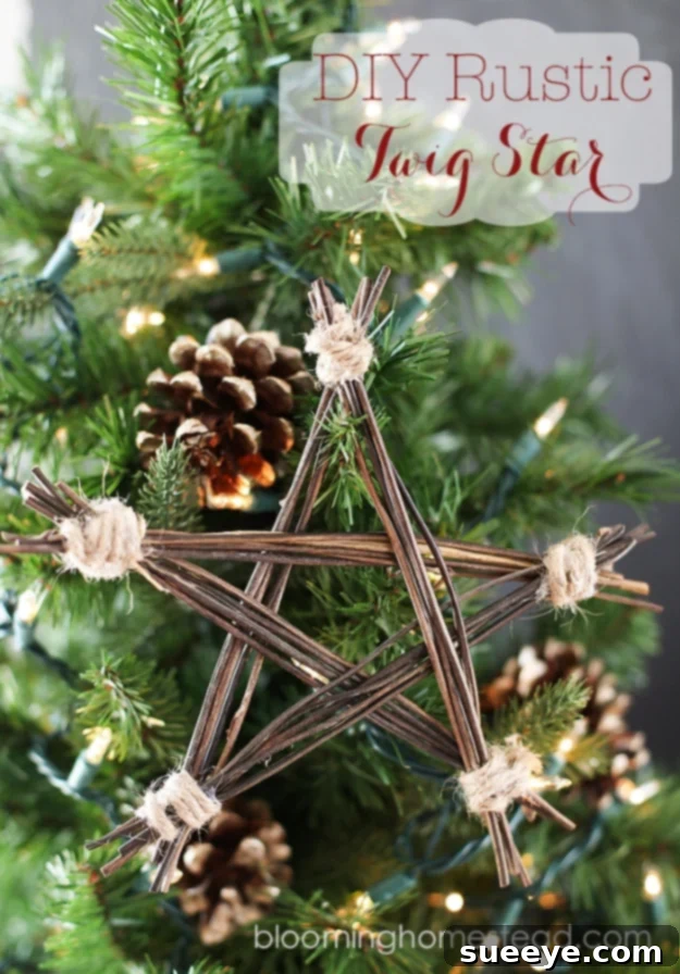 Simple DIY rustic twig star ornament, a charming natural Christmas decoration