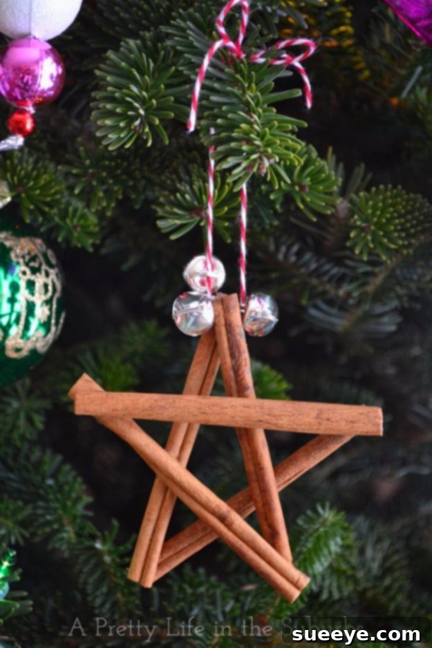 Fragrant cinnamon stick star ornaments, perfect for natural holiday decor