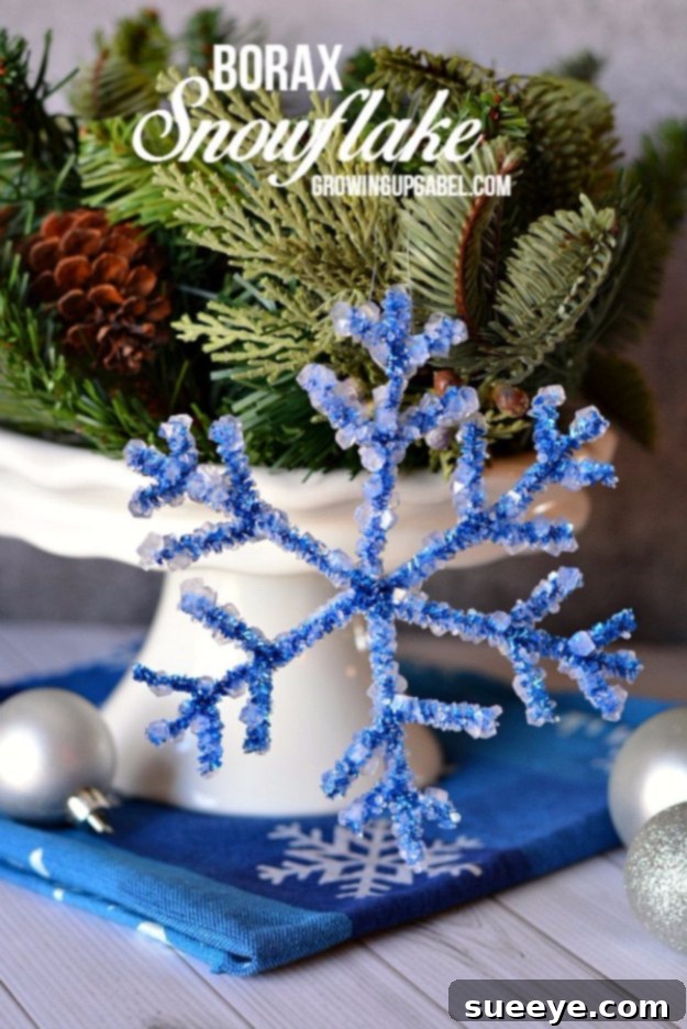Best DIY Snowflake Decorations, Ornaments and Crafts - Borax Snowflake - Paper Crafts with Snowflakes, Pipe Cleaner Projects, Mason Jars and Dollar Store Ideas - Easy DIY Ideas to Decorate for Winter#winter #crafts #diy Best DIY Snowflake Decorations, Ornaments and Crafts - Borax Snowflake - Paper Crafts with Snowflakes, Pipe Cleaner Projects, Mason Jars and Dollar Store Ideas - Easy DIY Ideas to Decorate for Winter#winter #crafts #diy