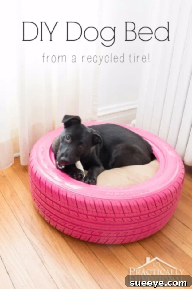 DIY Dog Bed From A Recycled Tire - Creative Pet Project DIY dog bed made from a recycled tire, painted and cushioned, offering a comfortable resting spot for pets.