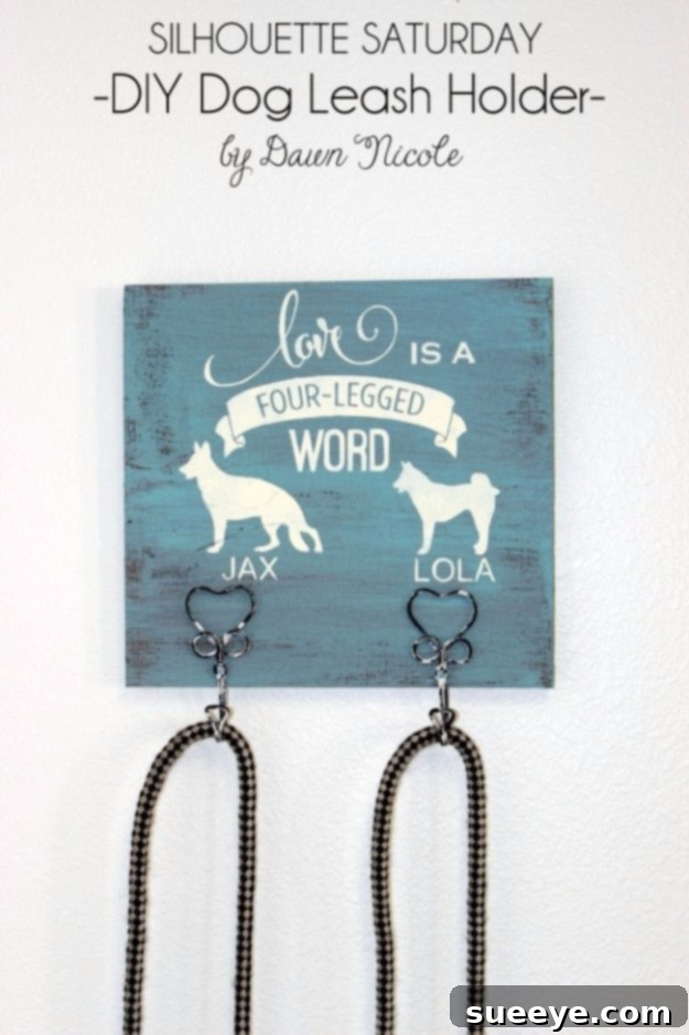 DIY Dog Leash Holder - Home Organization Hack DIY dog leash holder with decorative hooks, keeping leashes organized and accessible.