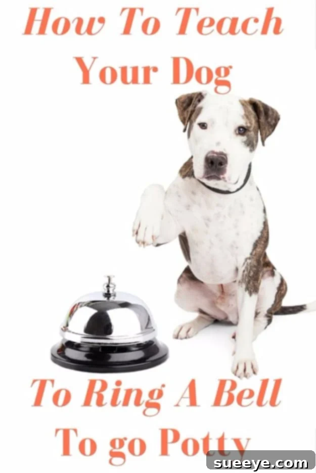 Train Your Dog To Ring A Bell To Go Potty - Easy Training Tip Dog paw ringing a bell by the door, illustrating a successful potty training hack.