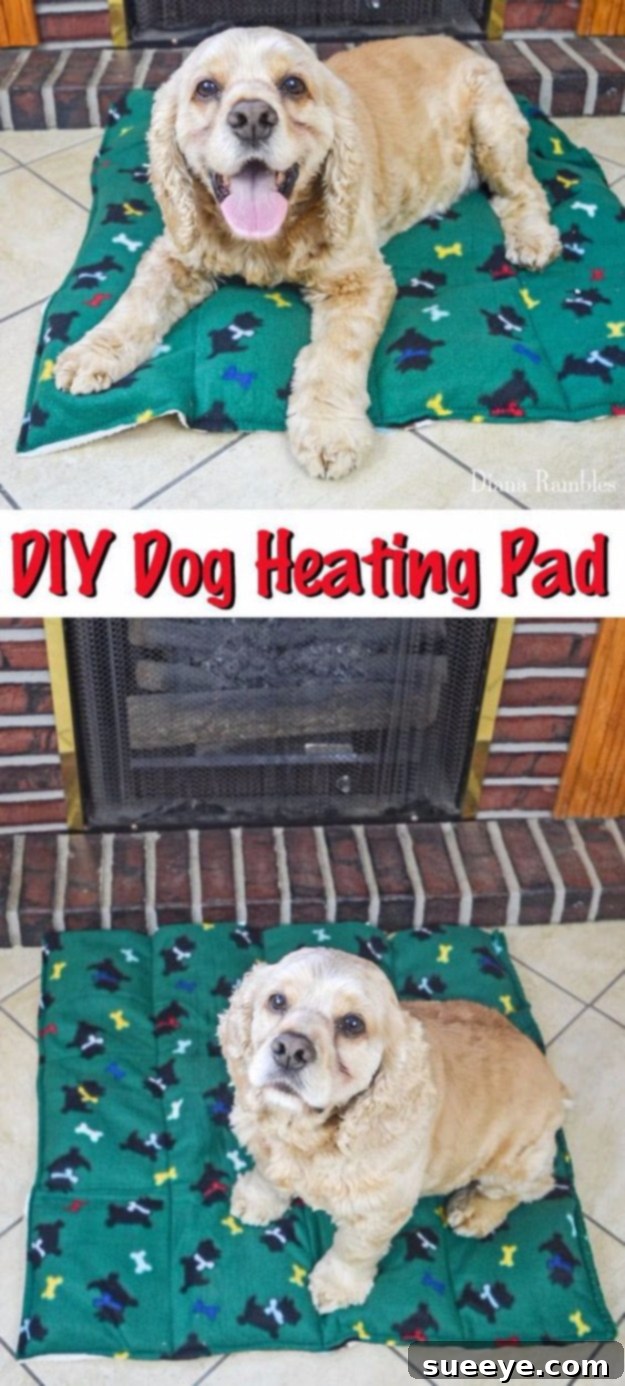 DIY Dog Heating Pad - Comfort for Older Dogs DIY dog heating pad made from fabric and natural filling, offering warmth and comfort to pets.