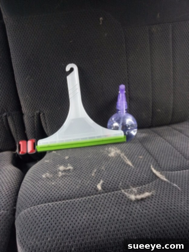 Use A Squeegee To Remove Dog Hairs From Your Car - Car Cleaning Hack Hand using a squeegee to scrape and collect dog hair from car upholstery, showing its effectiveness.